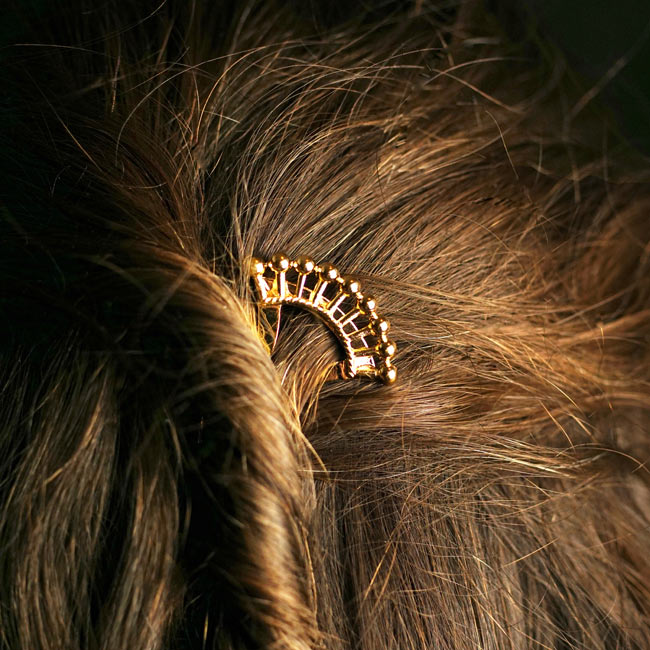 Pic cheveux Lutèce