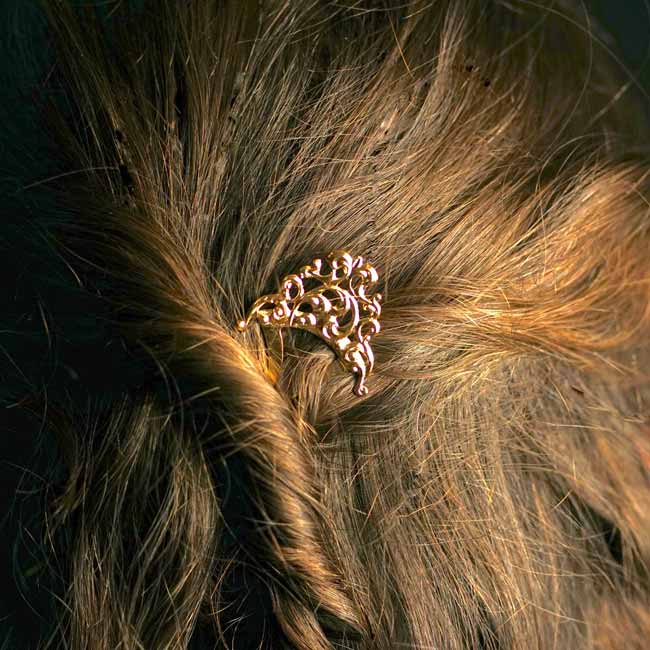 Pic cheveux Bronté